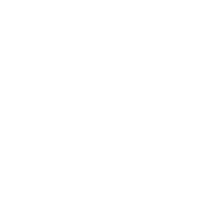 Questions icon